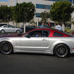 DSC_1353.JPG