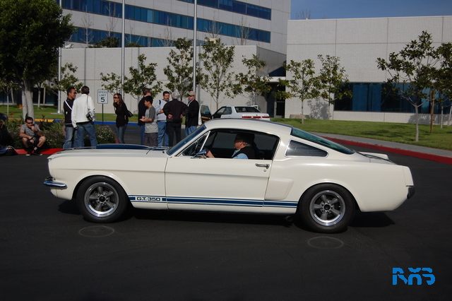 DSC_1361.JPG