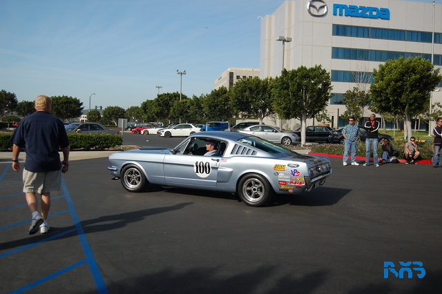 DSC_1374.JPG