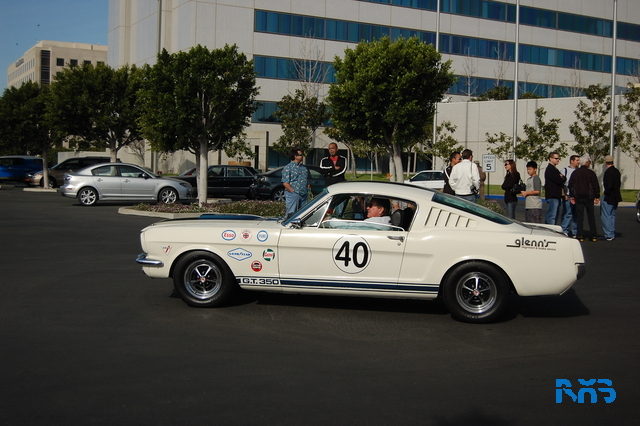 DSC_1378.JPG