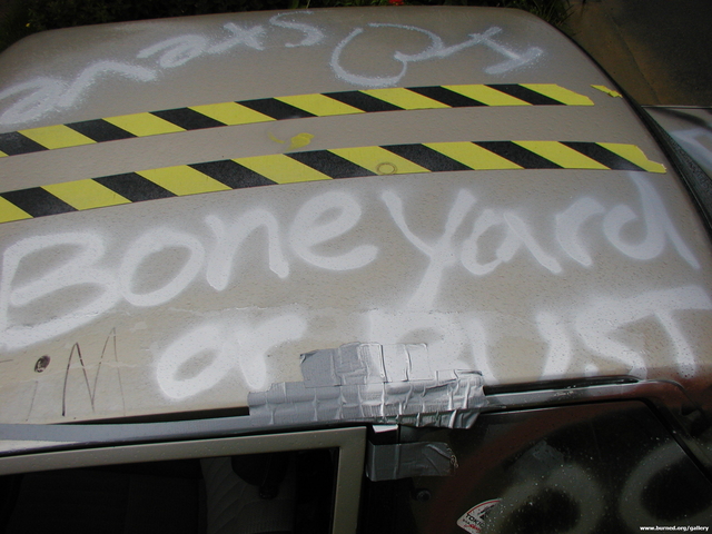 Picture 005.jpg