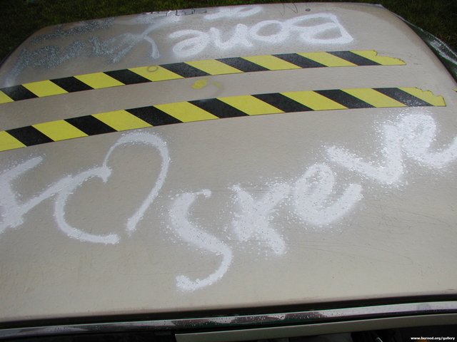 Picture 007.jpg