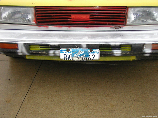 Picture 010.jpg
