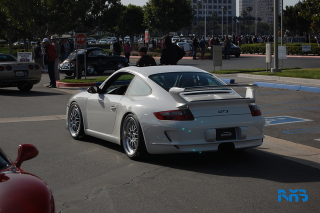 DSC_1446.JPG