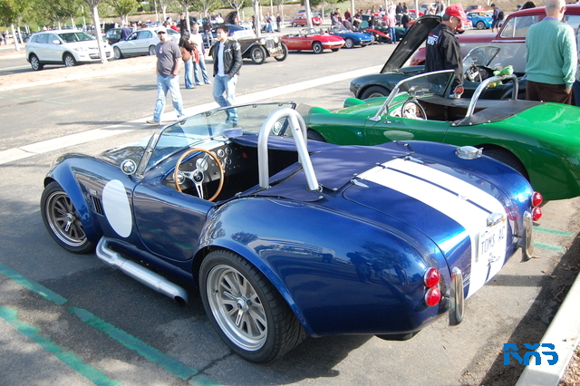 DSC_1459.JPG