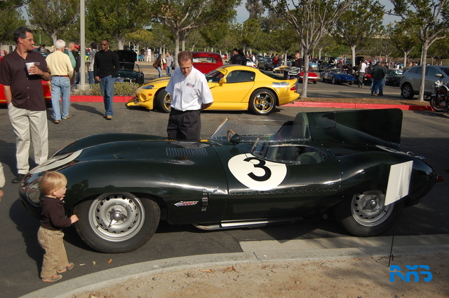 DSC_1462.JPG