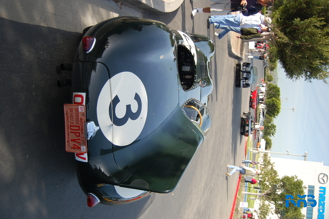DSC_1463.JPG
