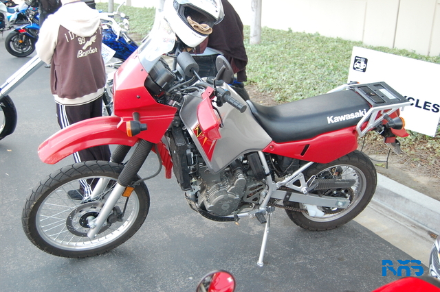 DSC_1482.JPG