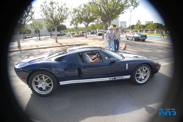 DSC_1556.JPG