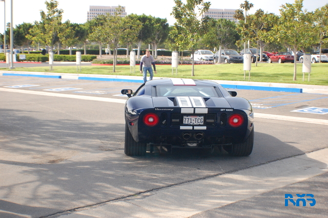 DSC_1558.JPG