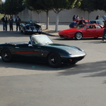 DSC_1564.JPG