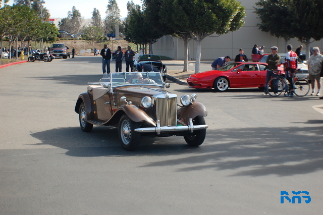 DSC_1565.JPG