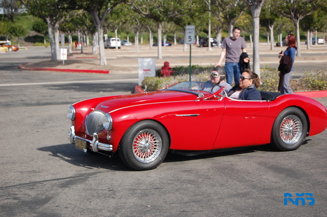 DSC_1591.JPG