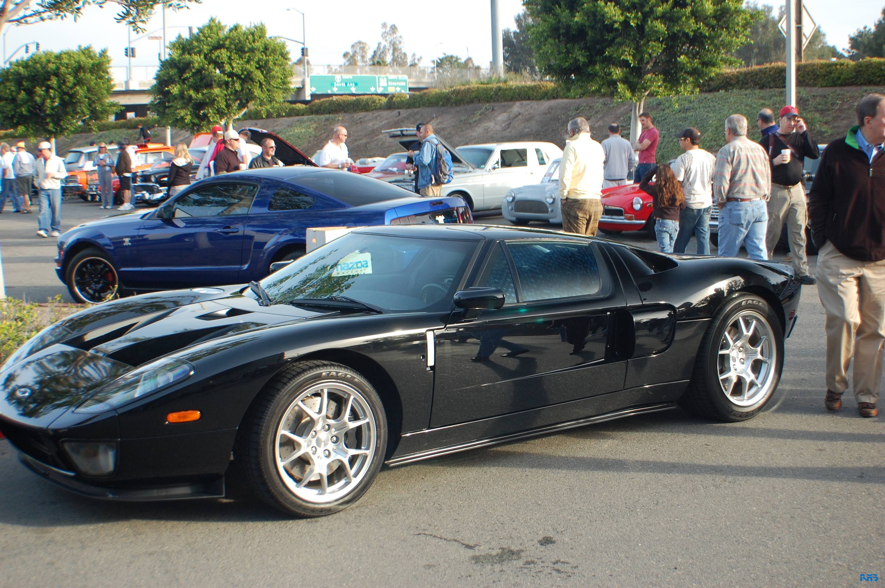 DSC_0950.JPG