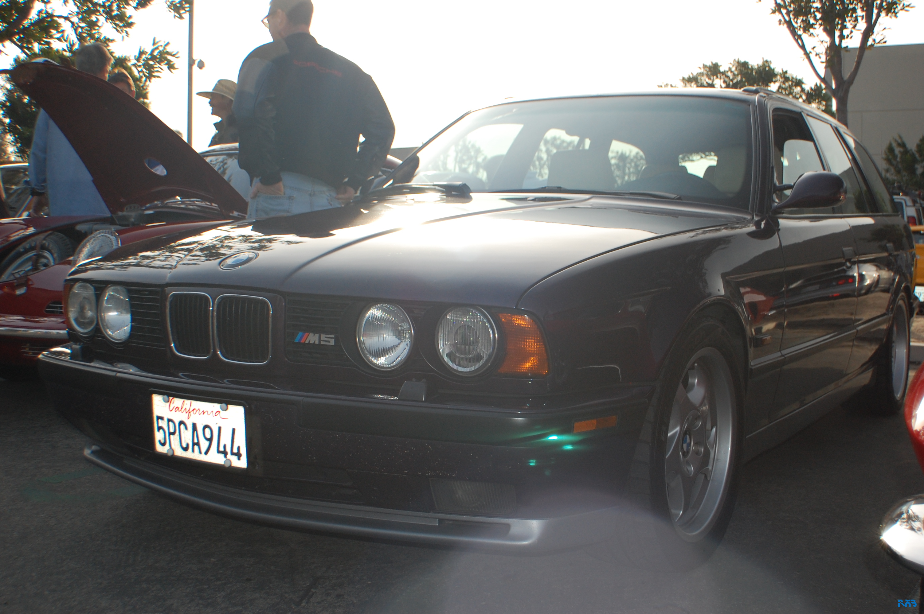 DSC_0969.JPG