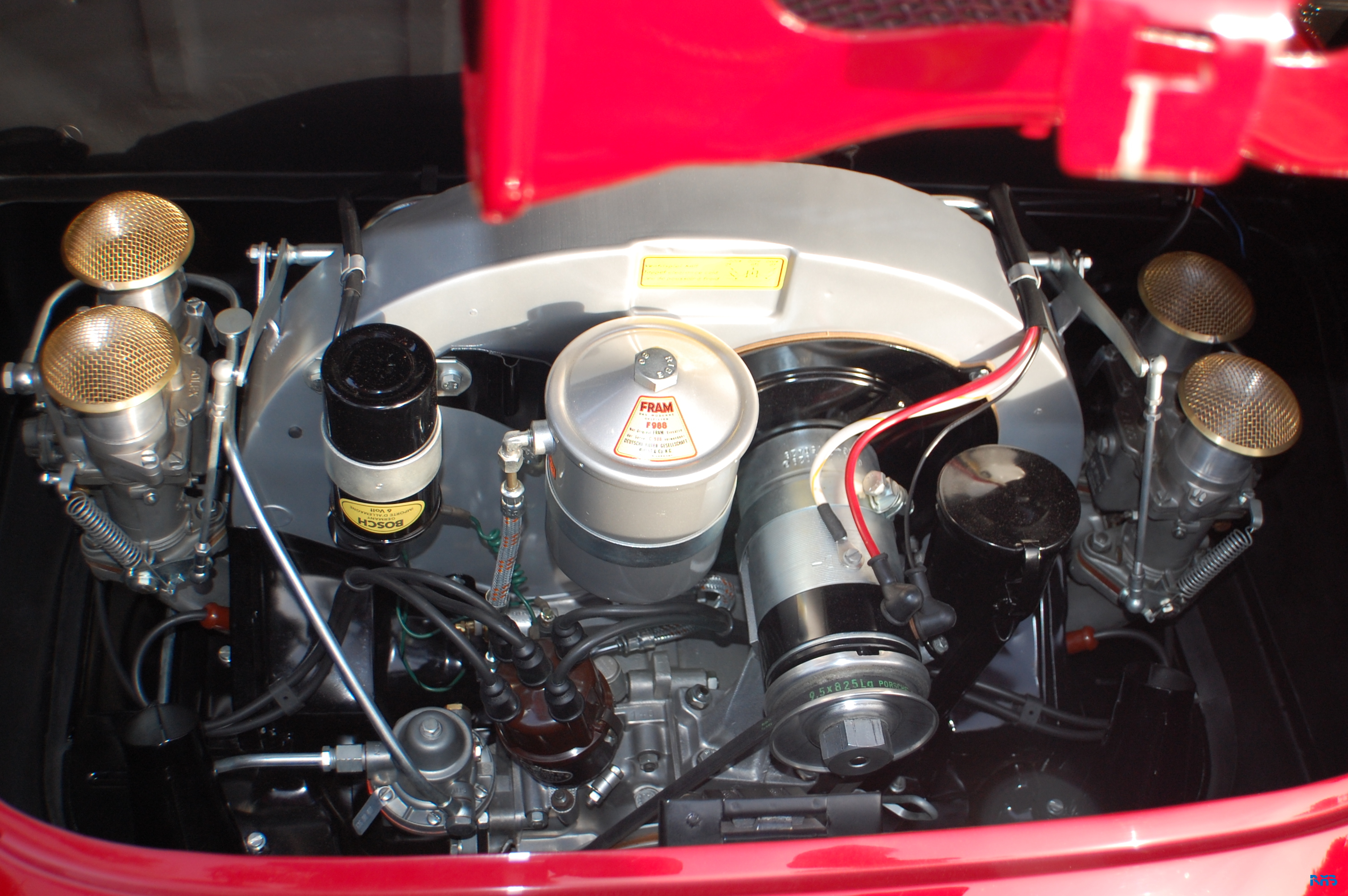 DSC_0974.JPG