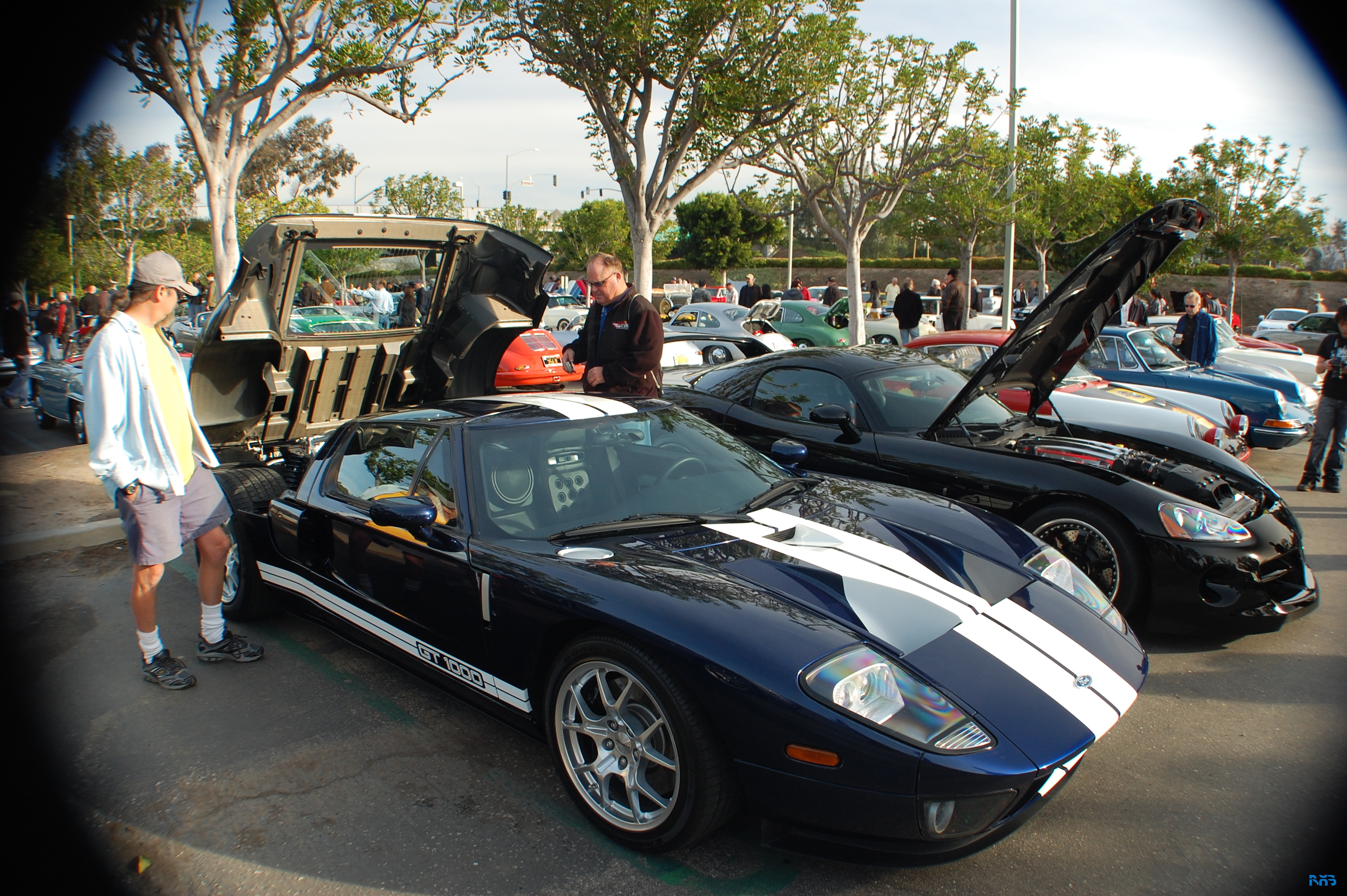 DSC_0981.JPG