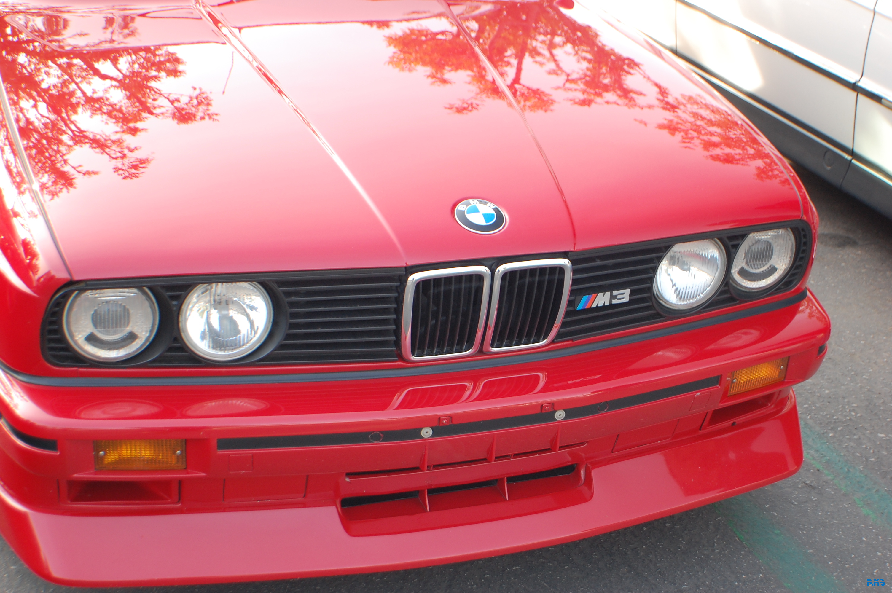 DSC_0983.JPG