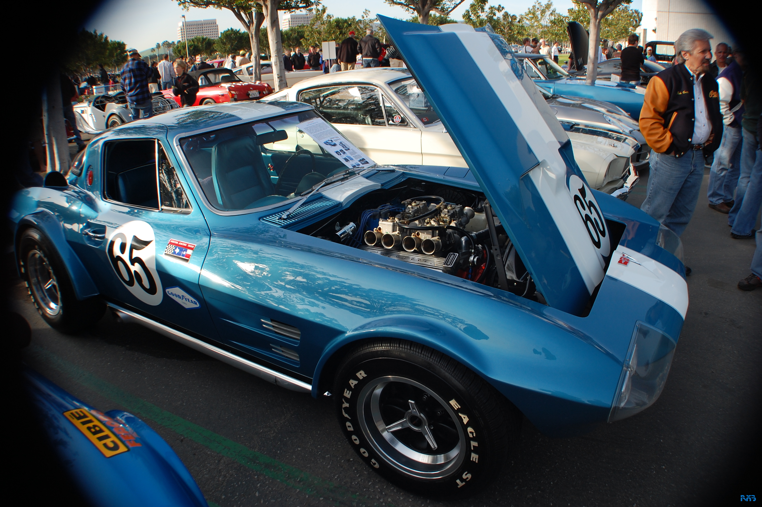 DSC_0987.JPG