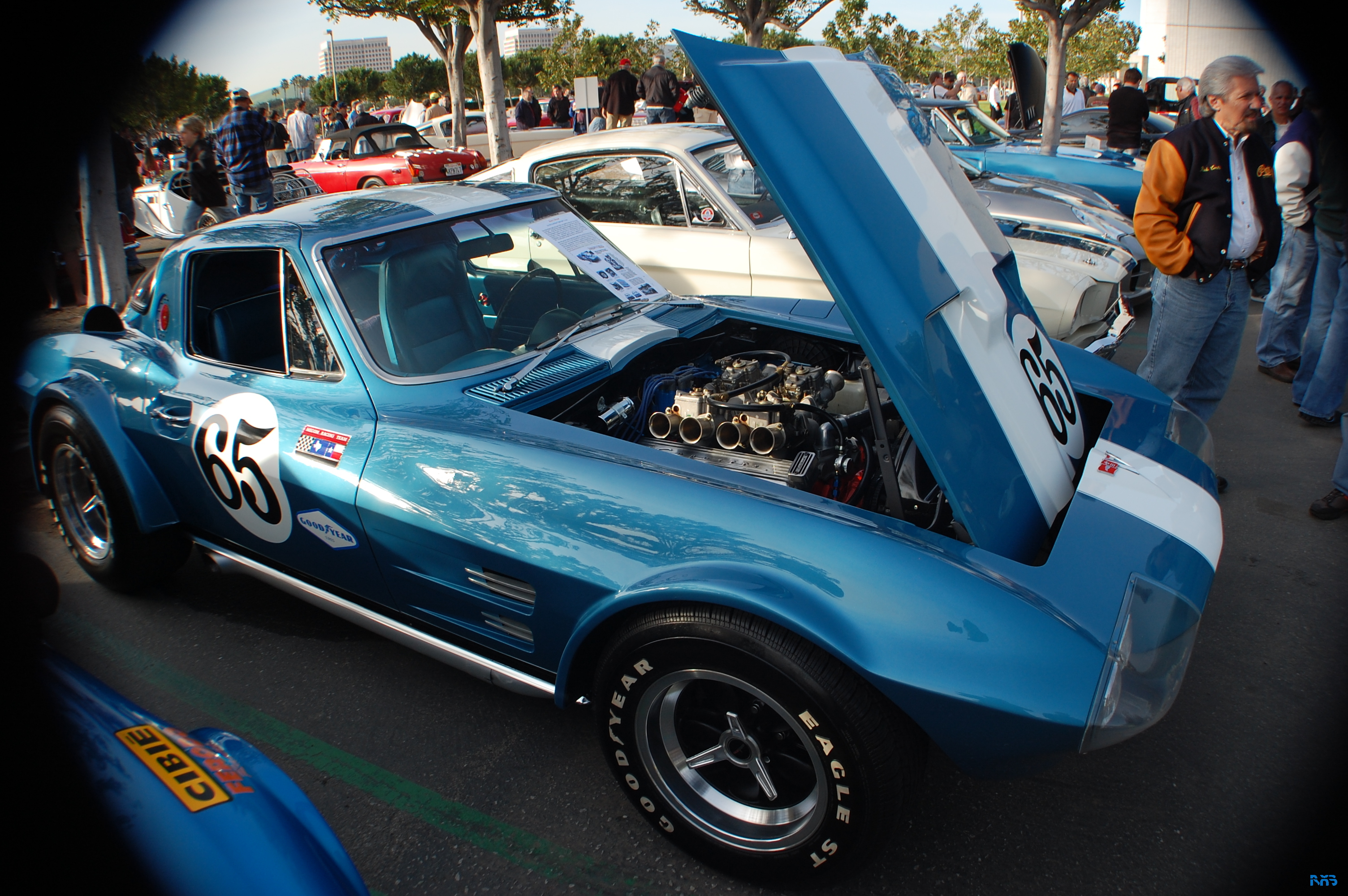 DSC_0988.JPG