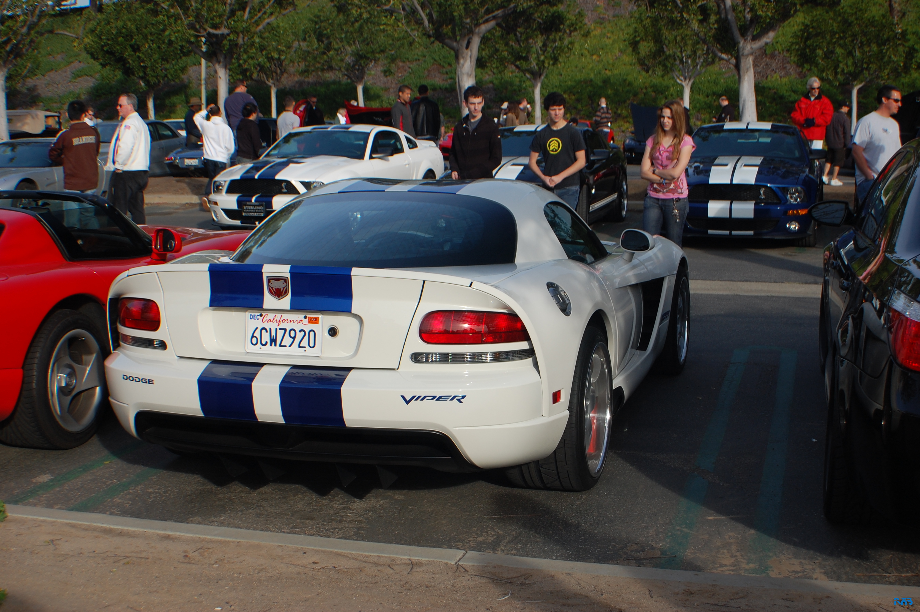 DSC_1031.JPG