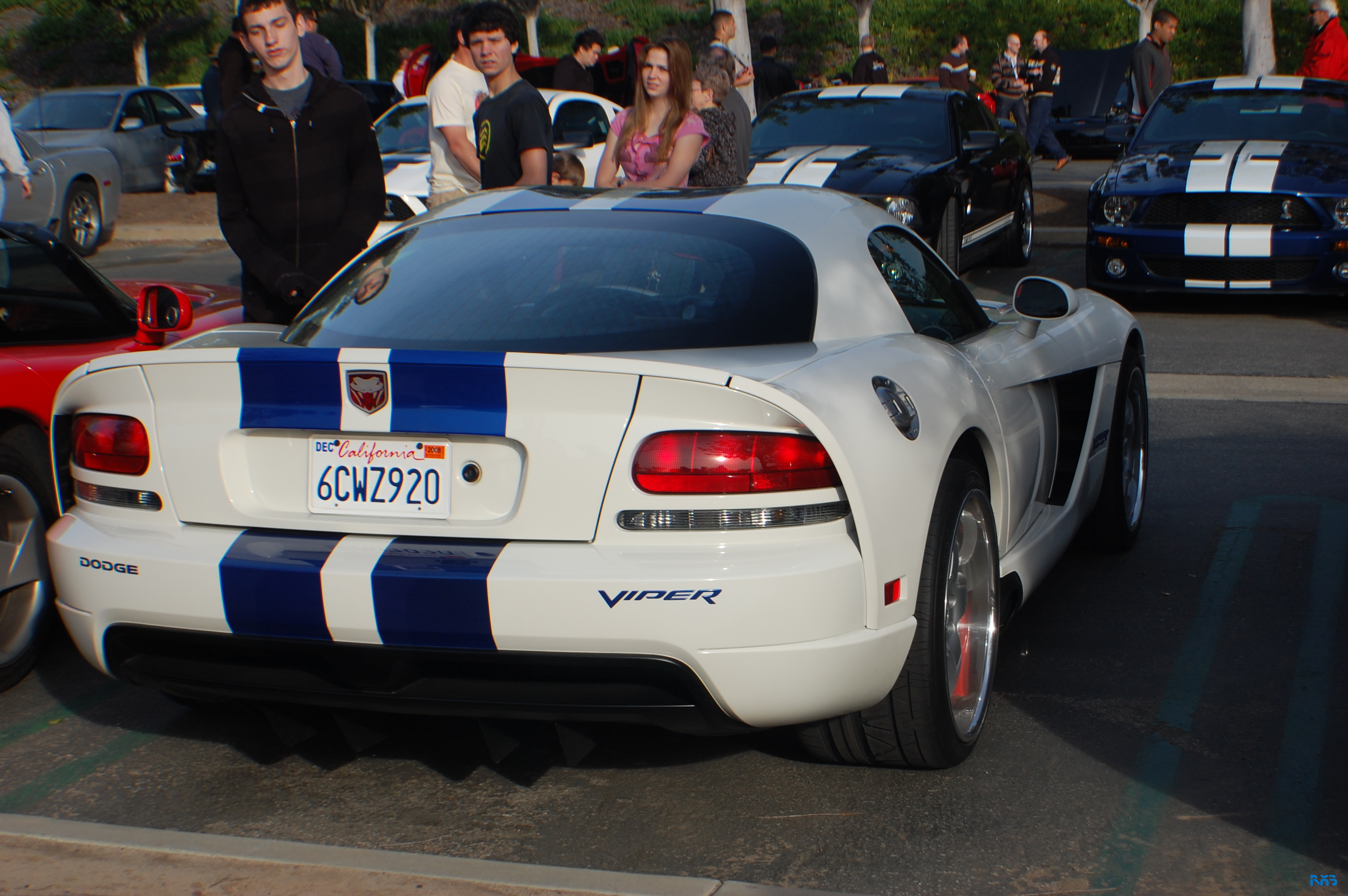 DSC_1032.JPG