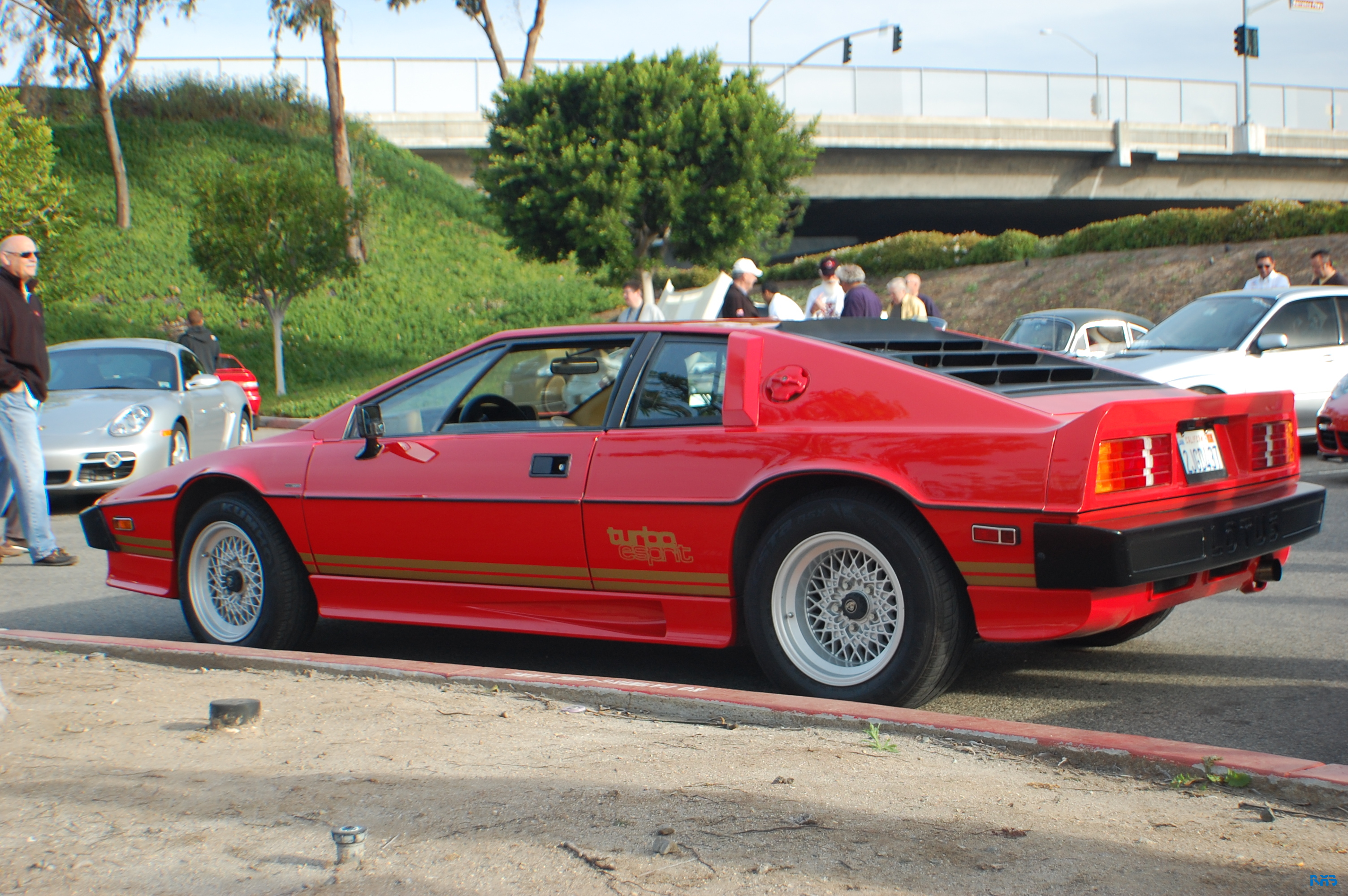 DSC_1047.JPG