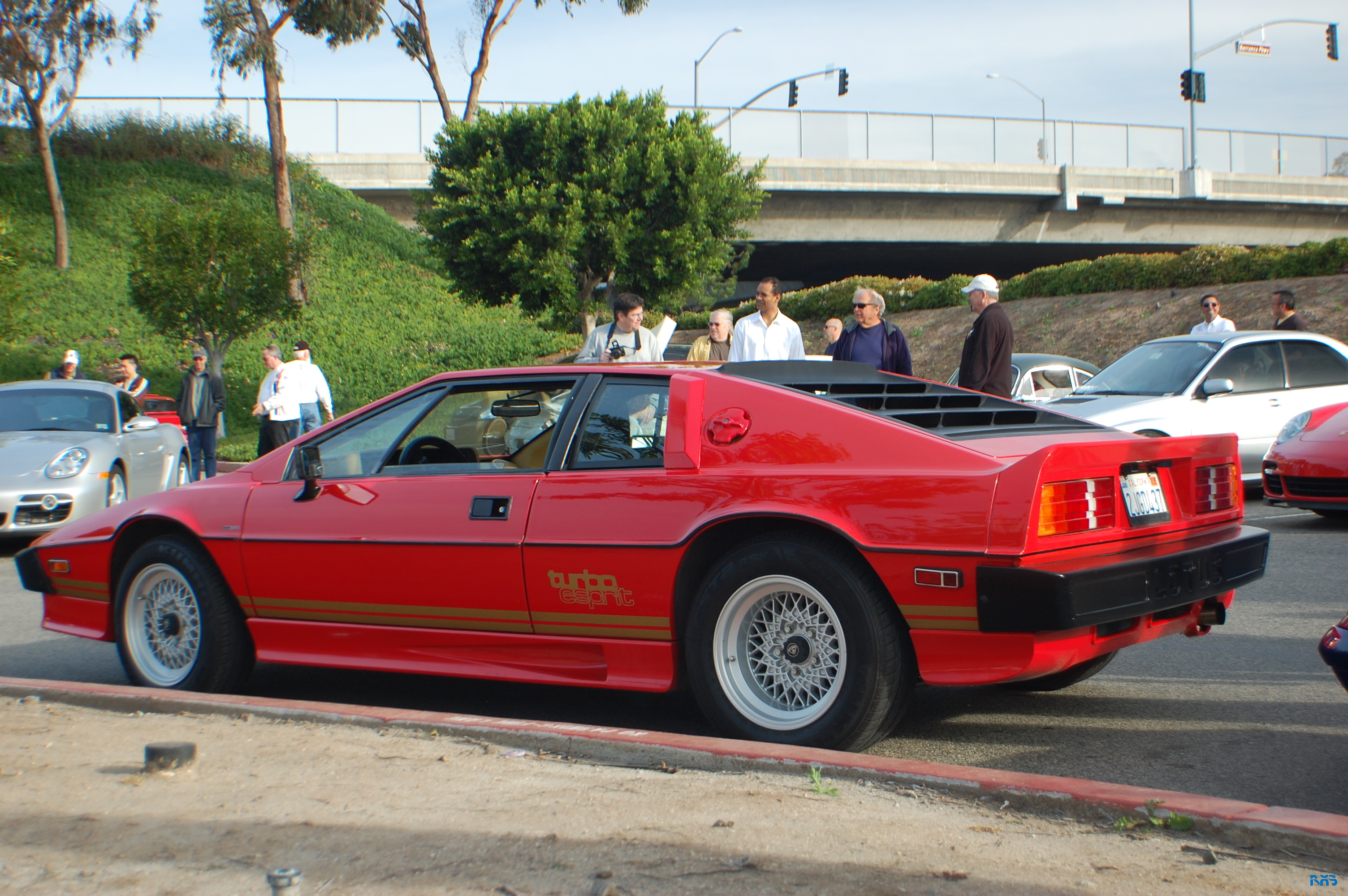 DSC_1048.JPG