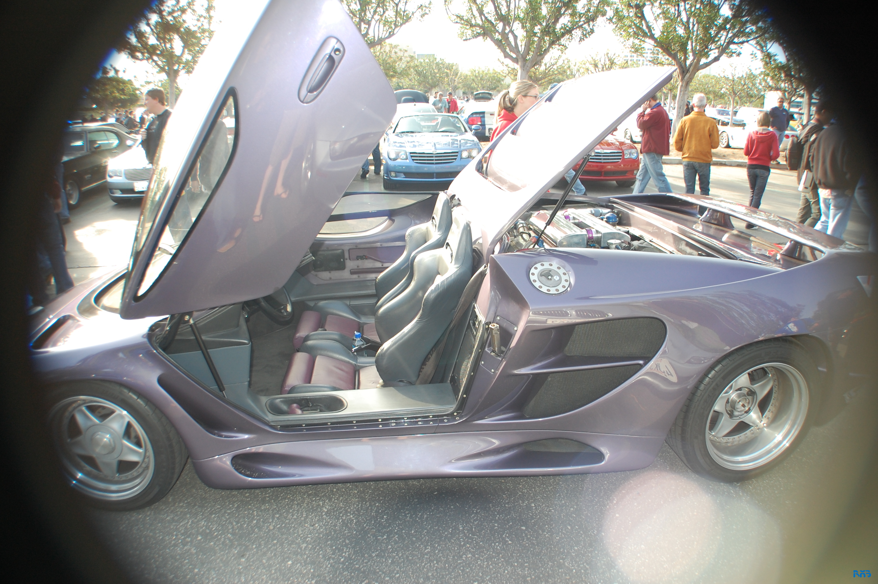 DSC_1065.JPG