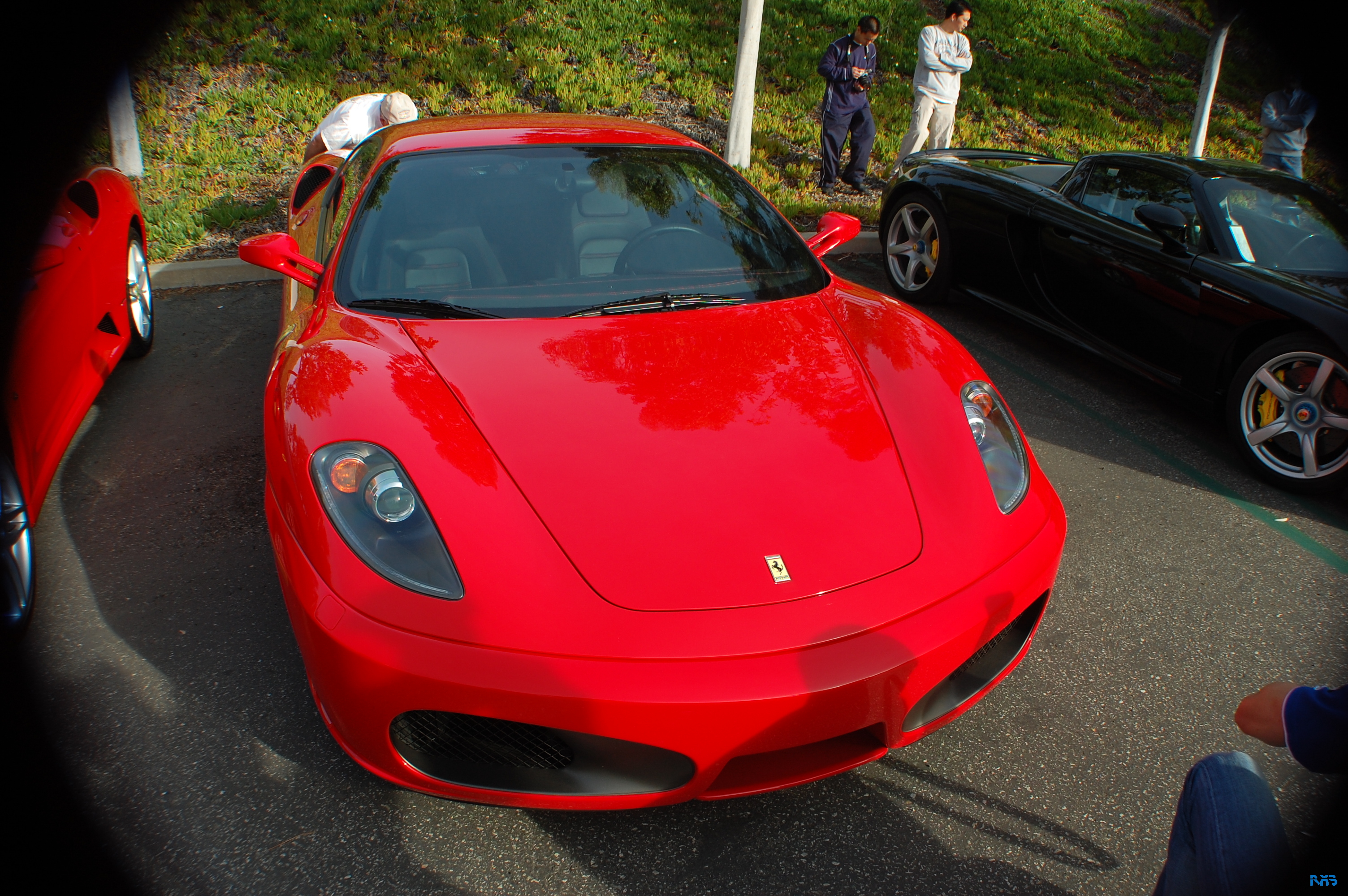 DSC_1075.JPG