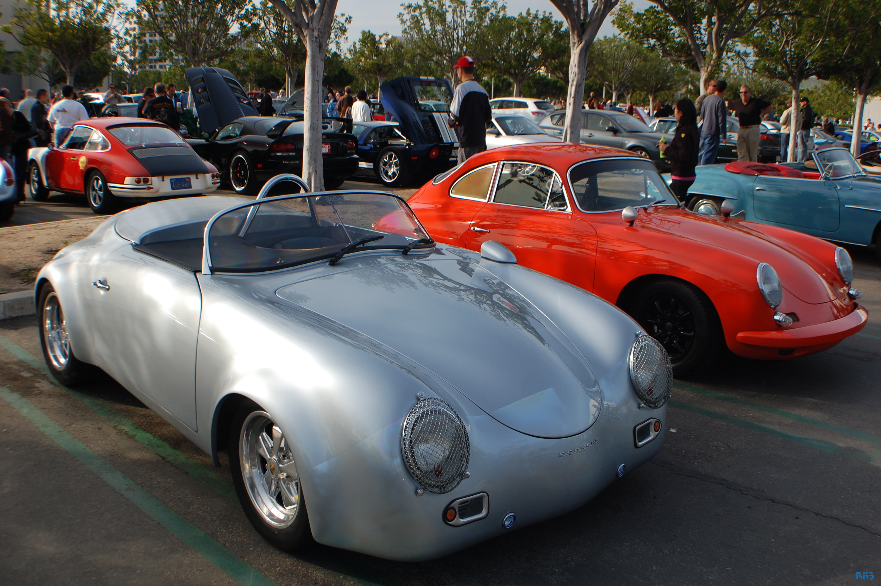 DSC_1103.JPG