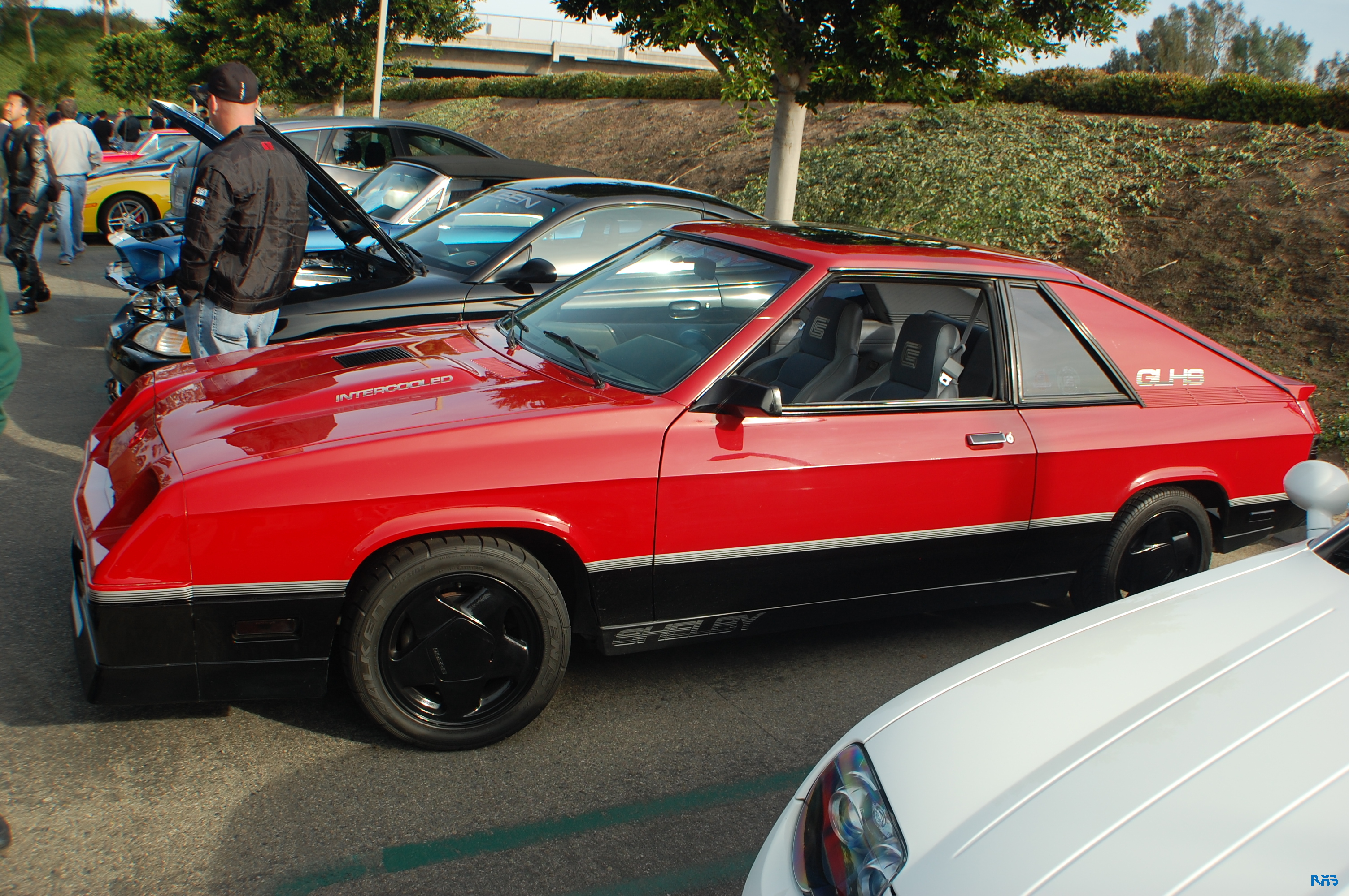 DSC_1114.JPG