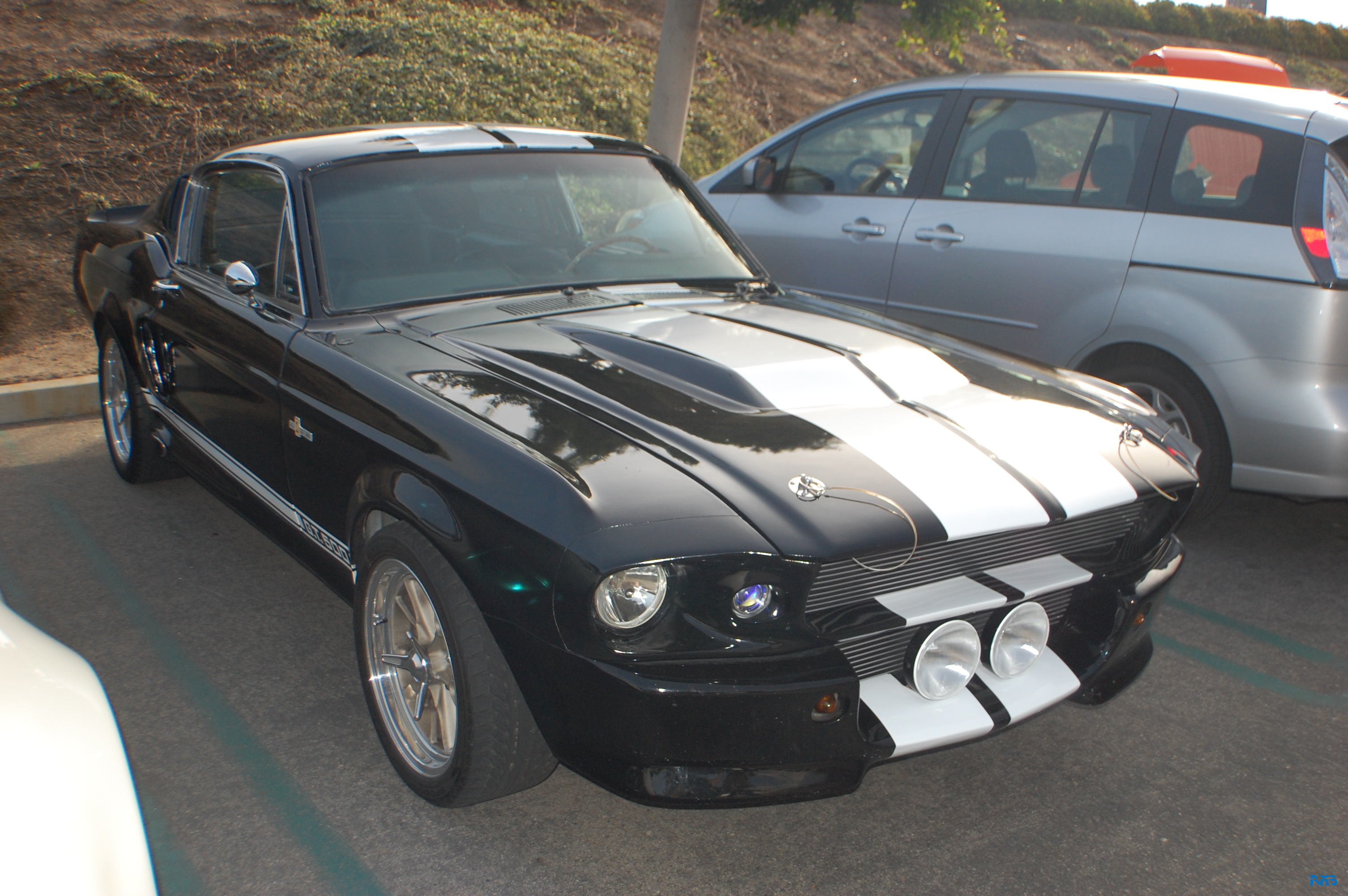 DSC_1116.JPG