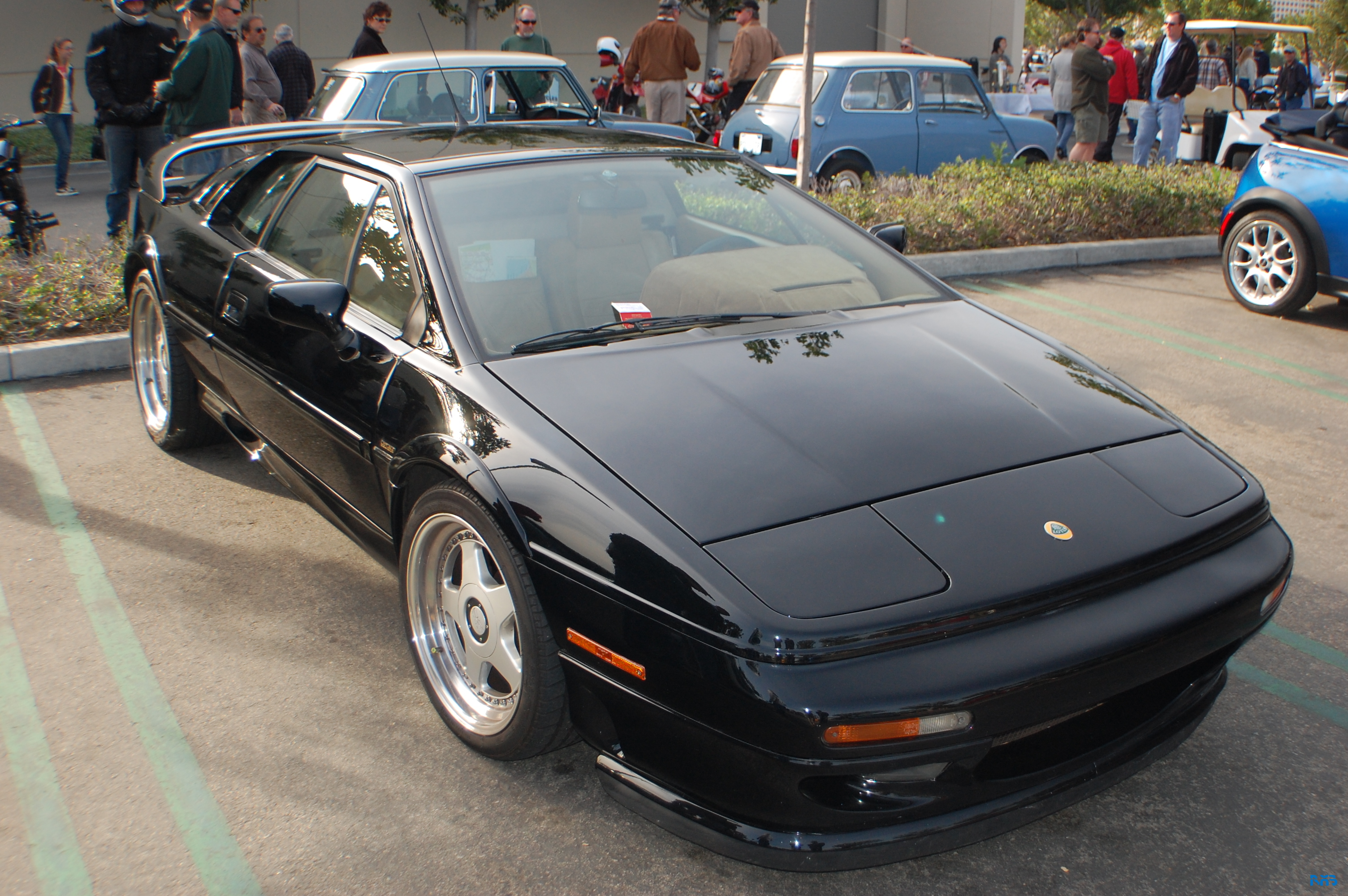 DSC_1122.JPG