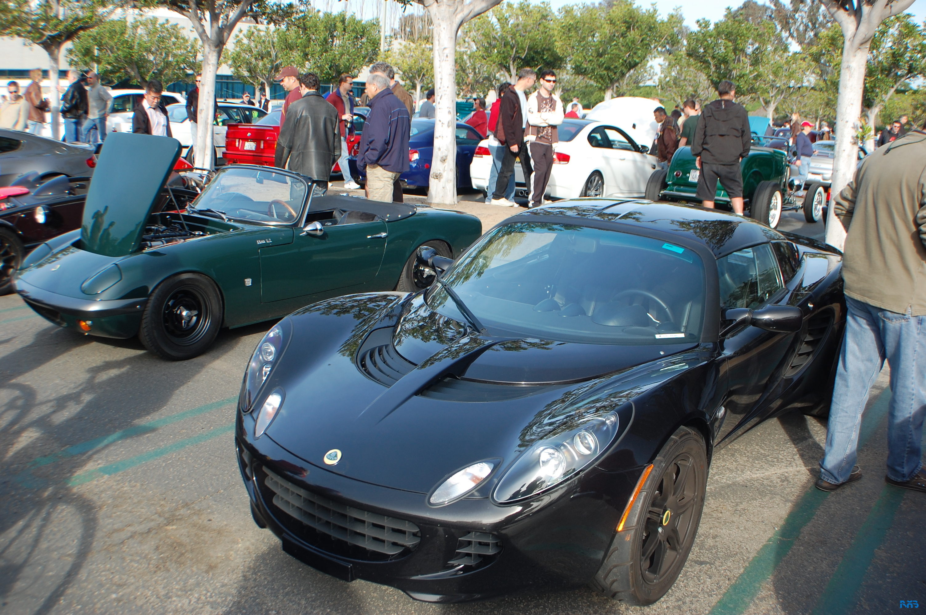 DSC_1126.JPG