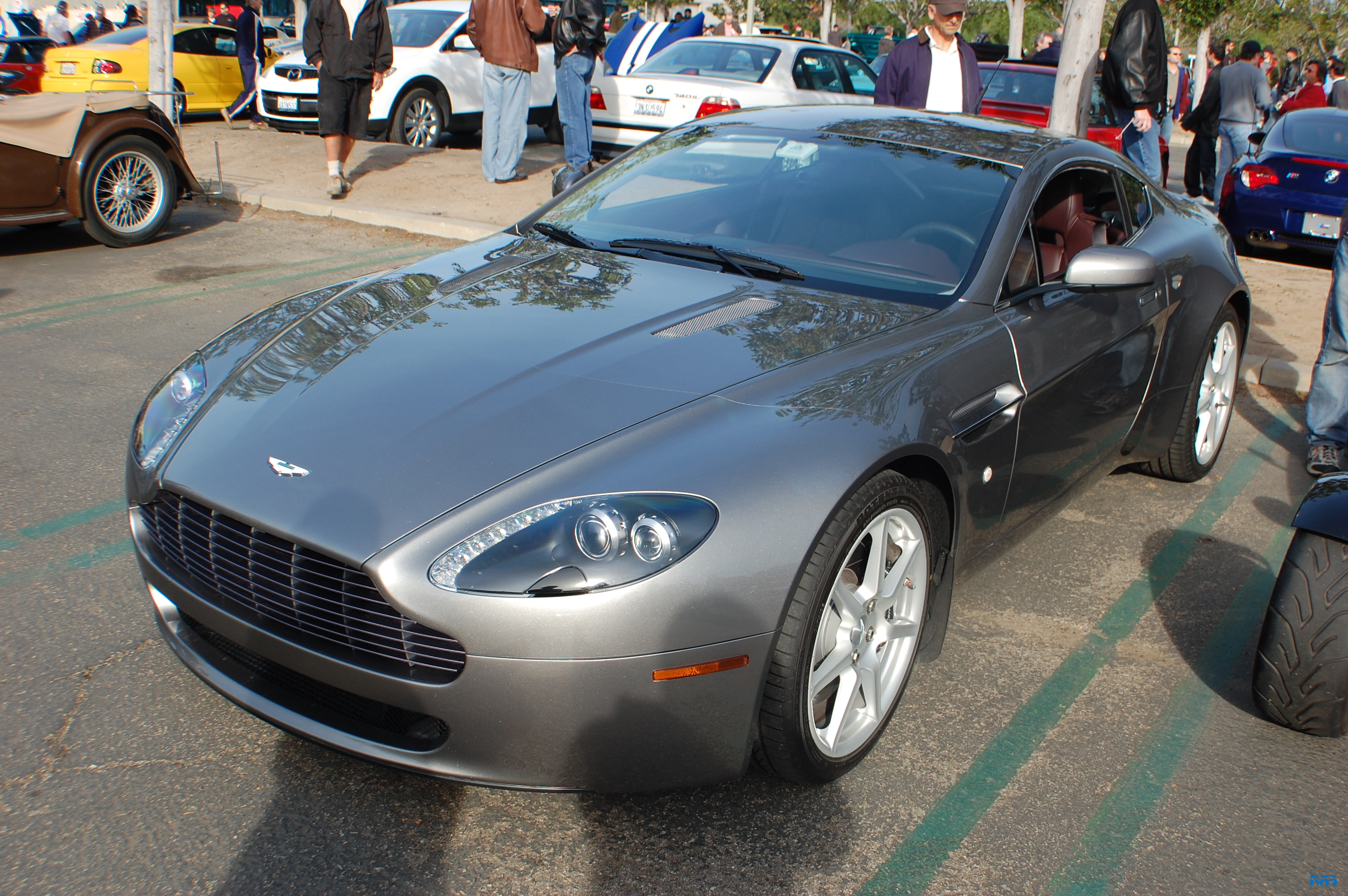 DSC_1135.JPG