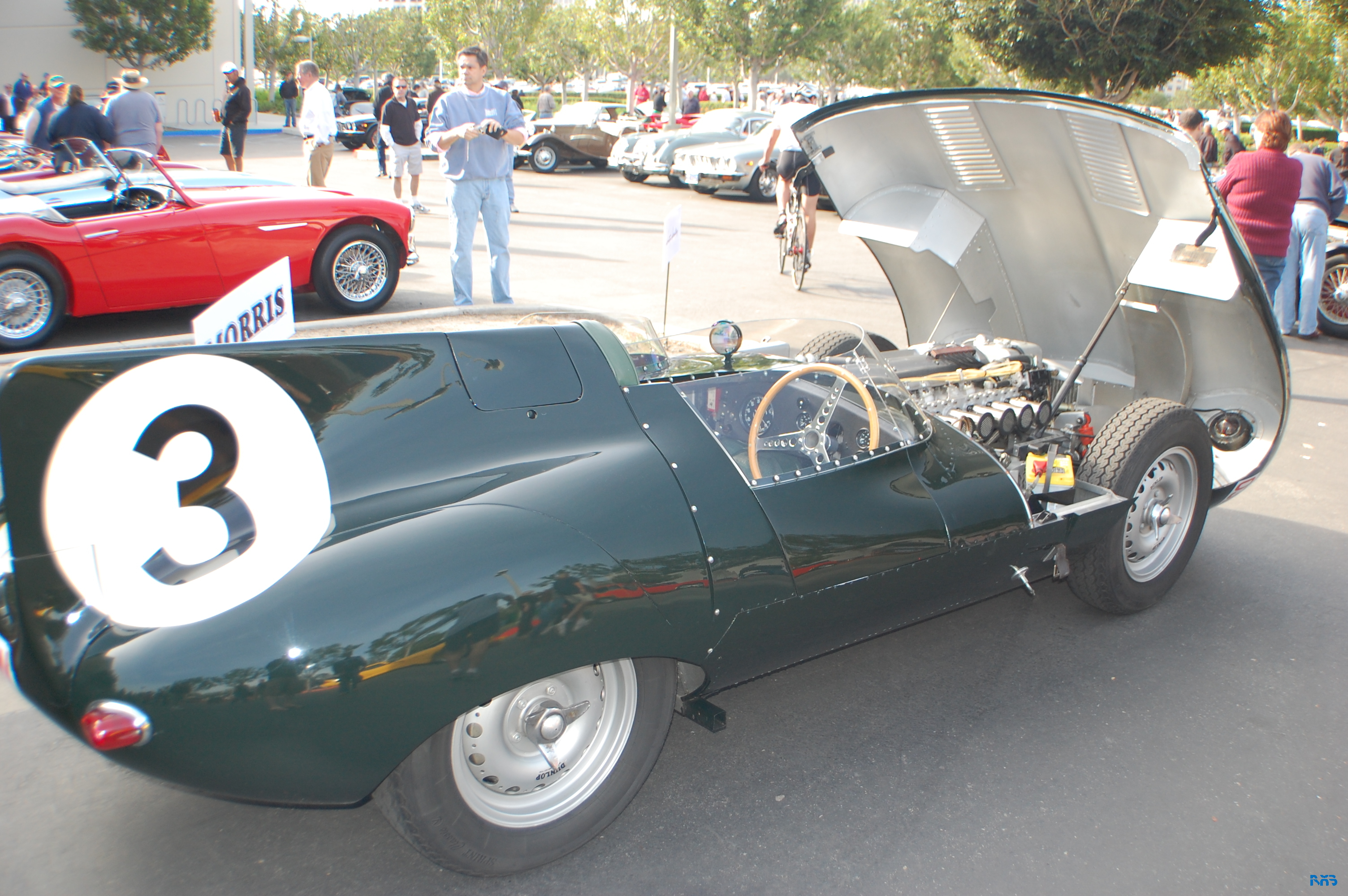 DSC_1145.JPG