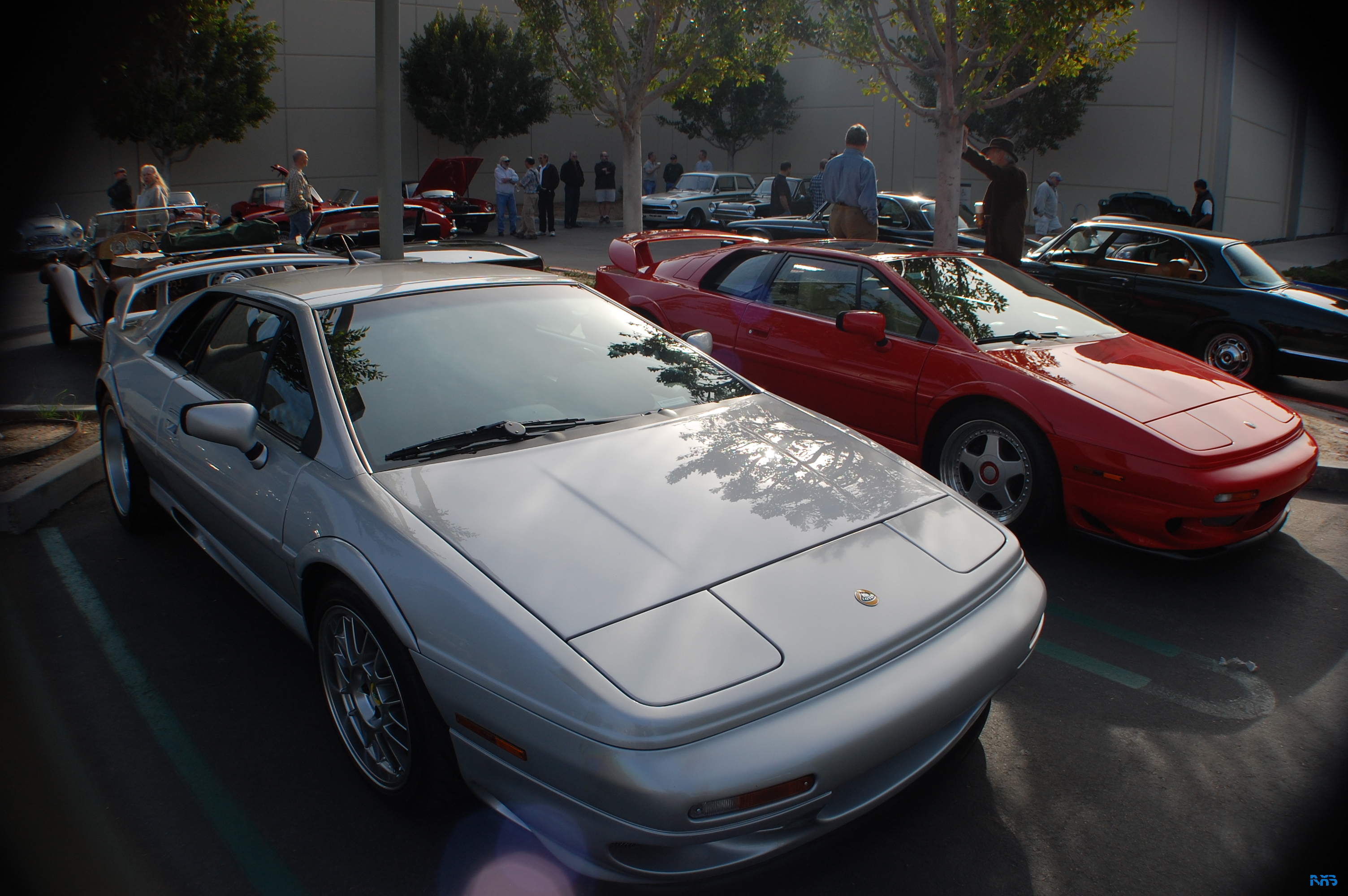 DSC_1152.JPG