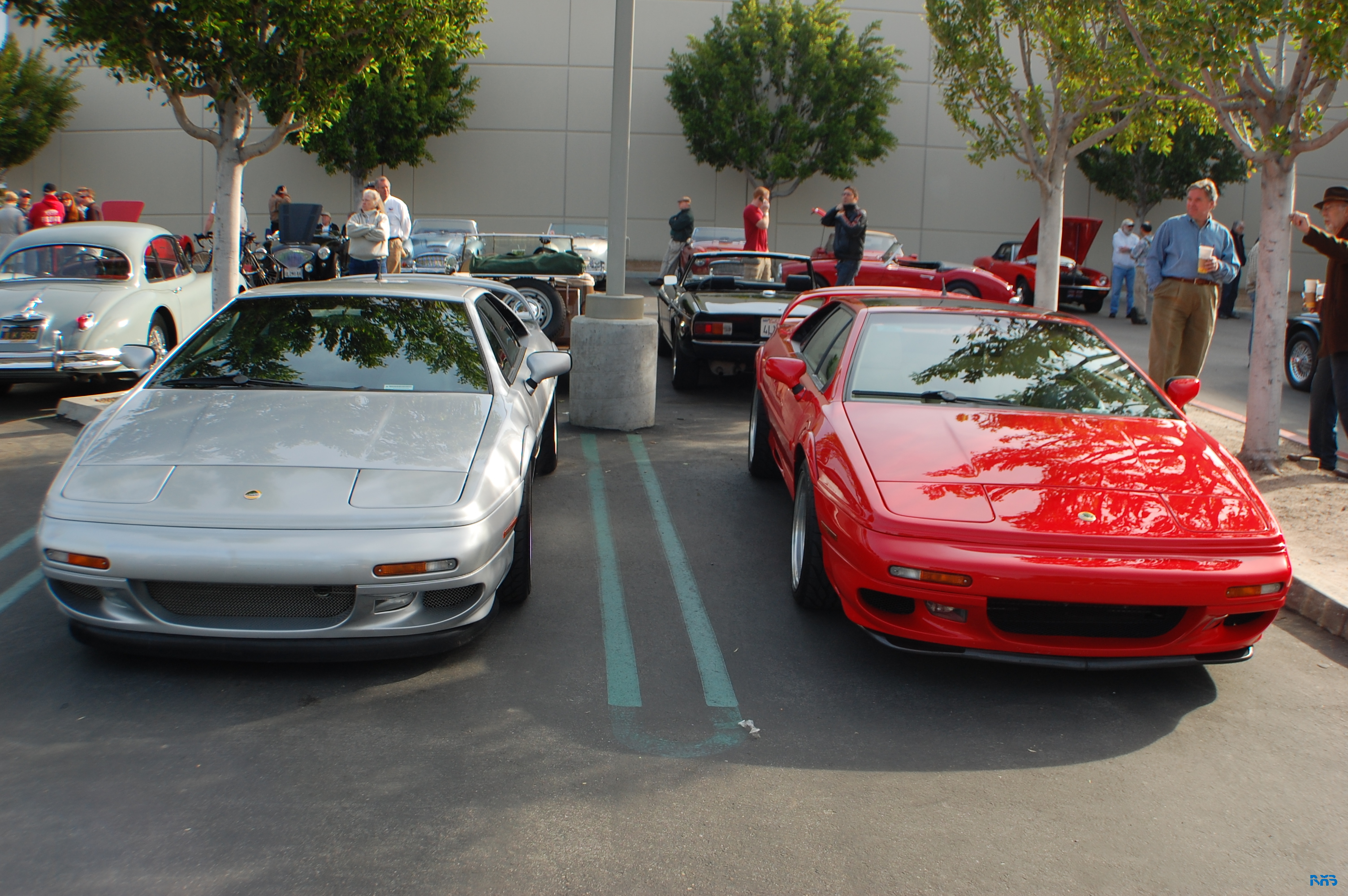 DSC_1153.JPG