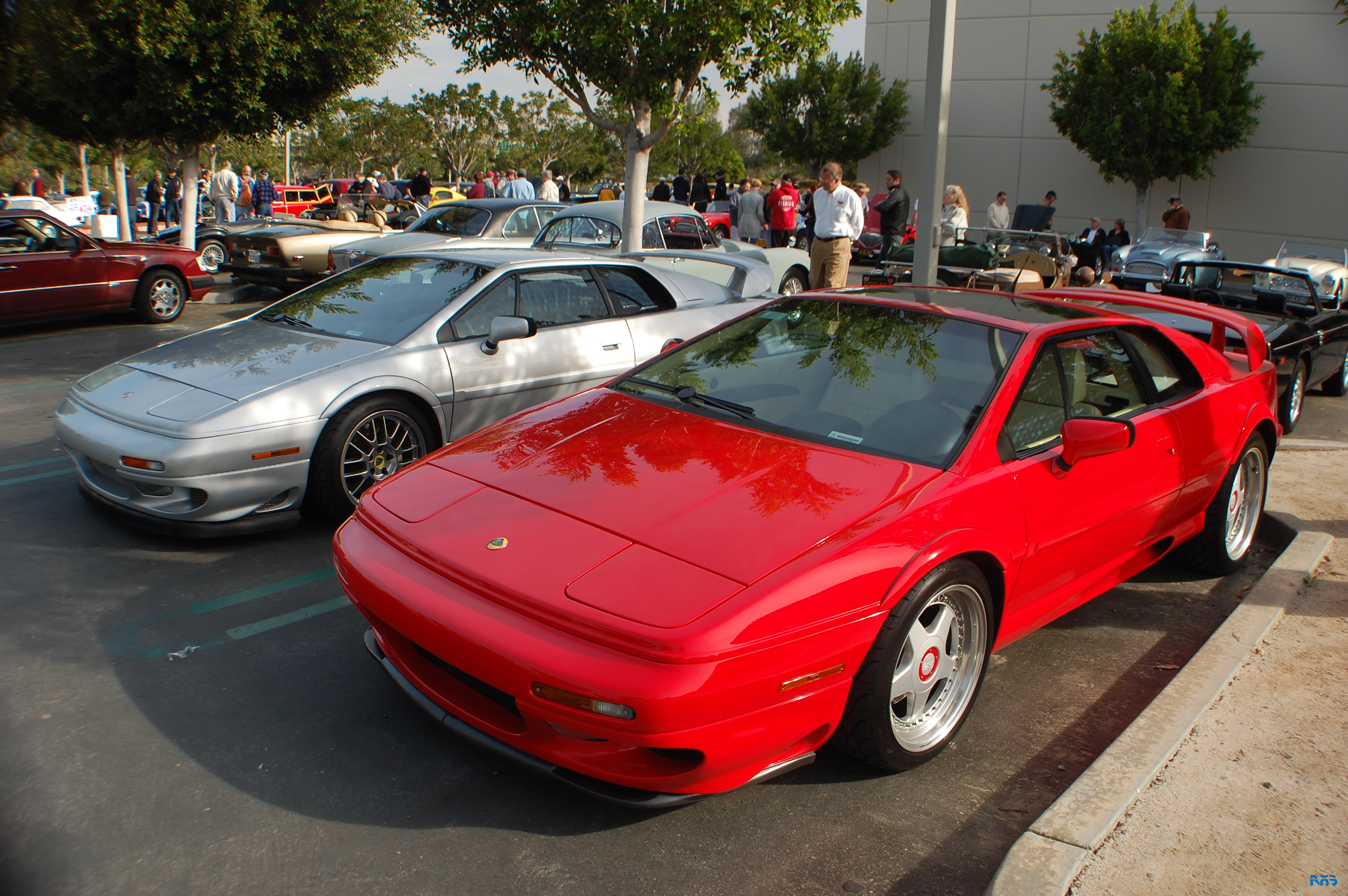 DSC_1154.JPG