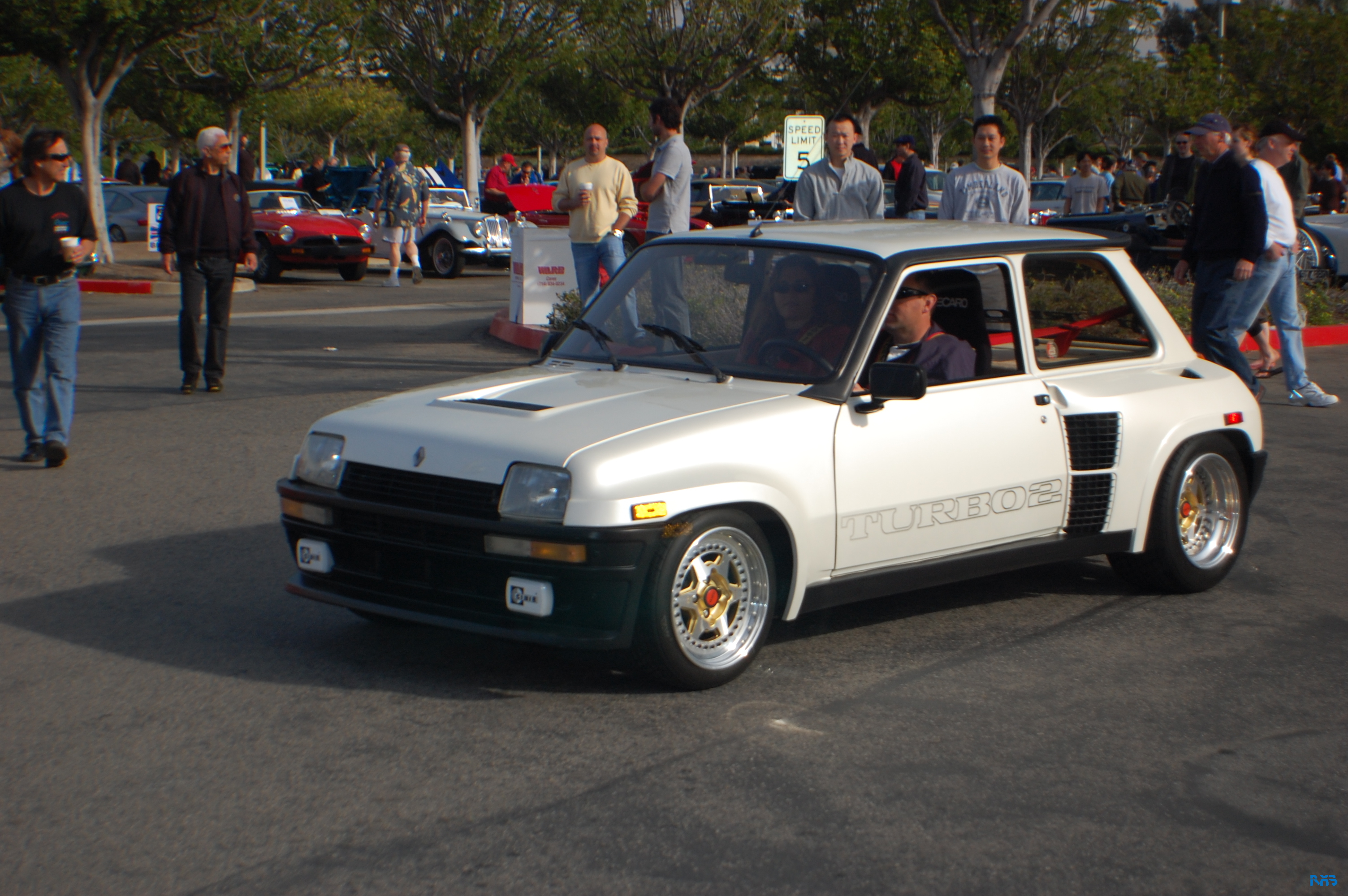 DSC_1167.JPG