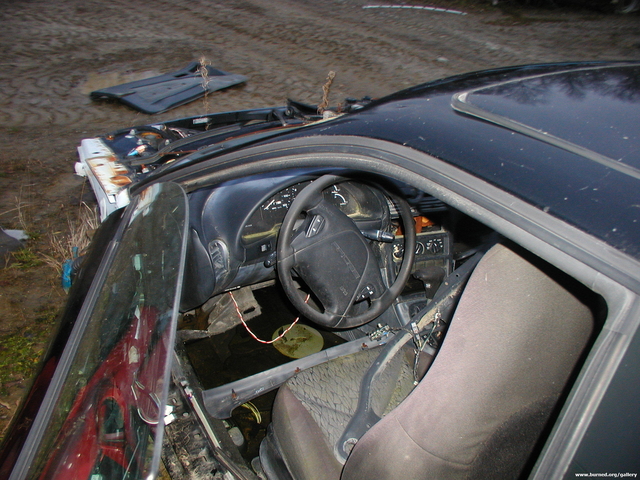 Picture 009.jpg