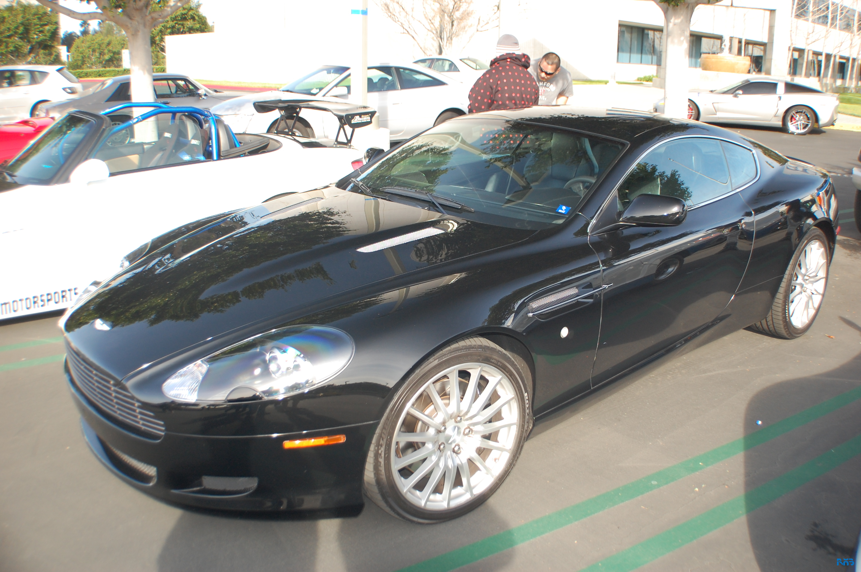 DSC_1178.JPG