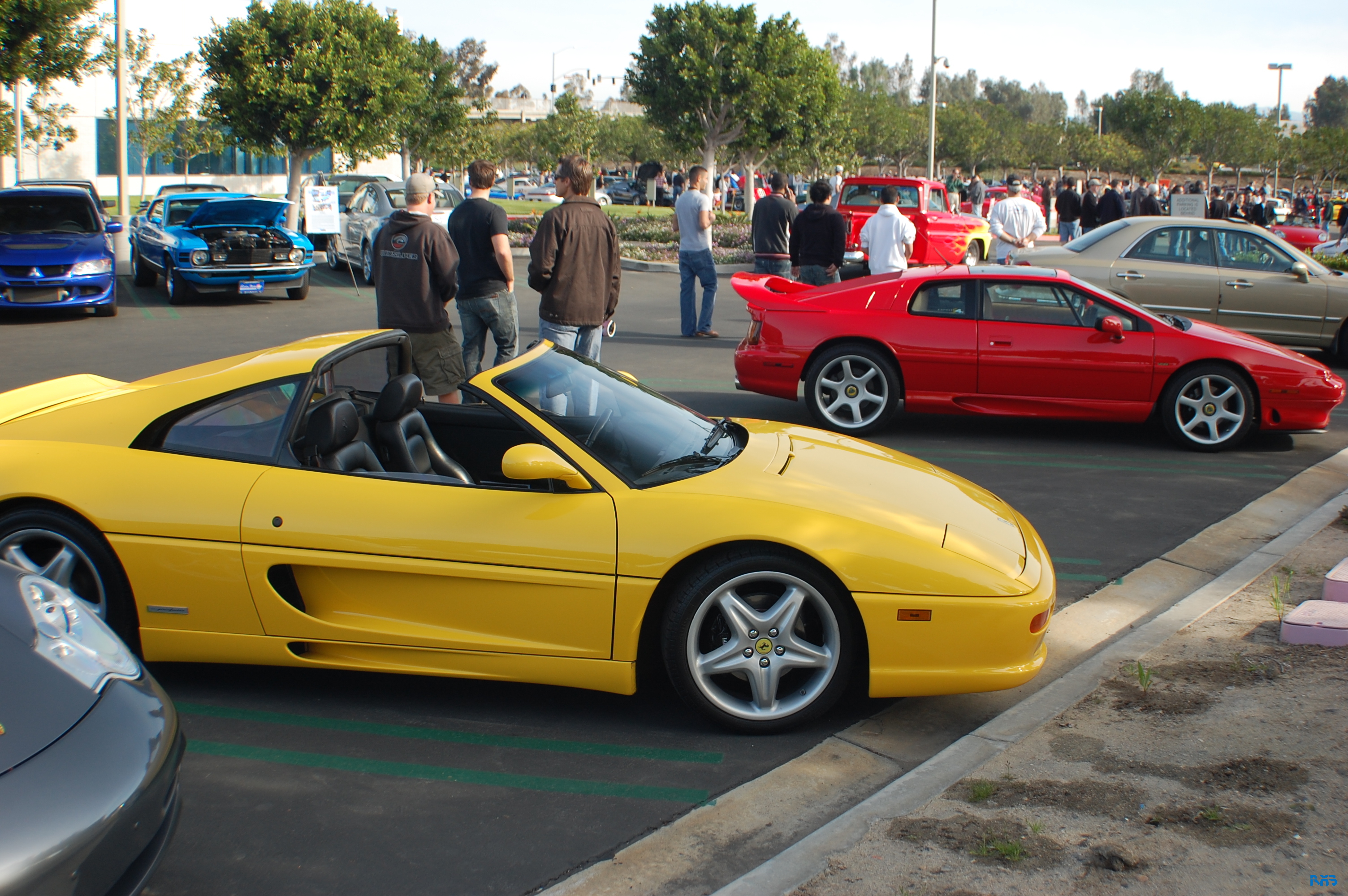 DSC_1184.JPG