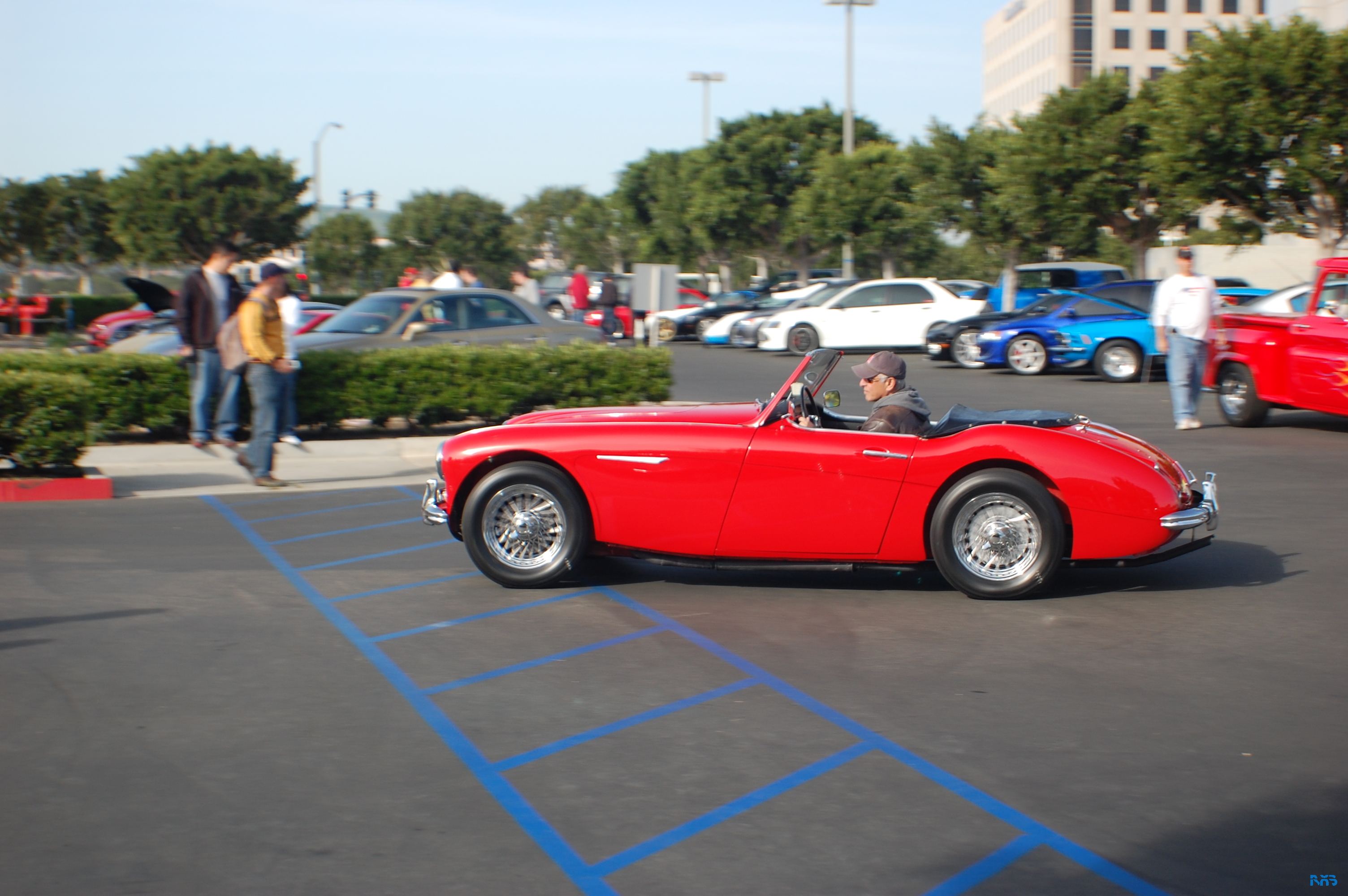 DSC_1188.JPG