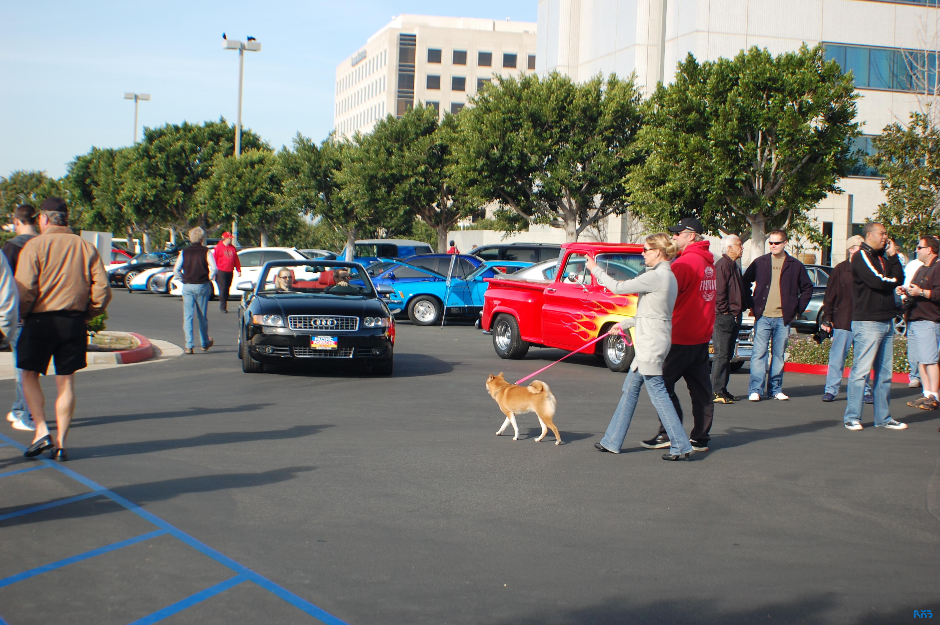 DSC_1190.JPG