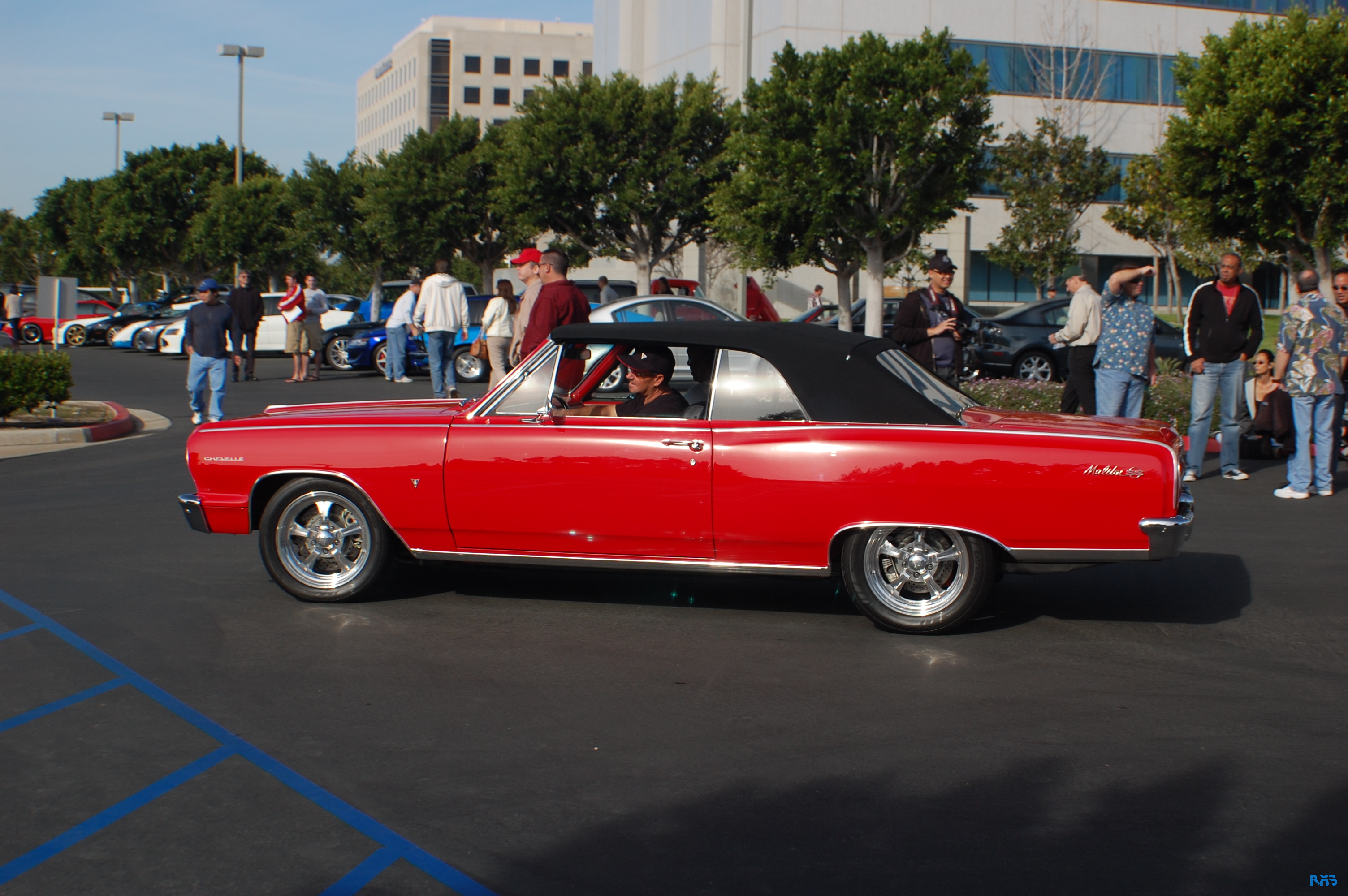 DSC_1212.JPG