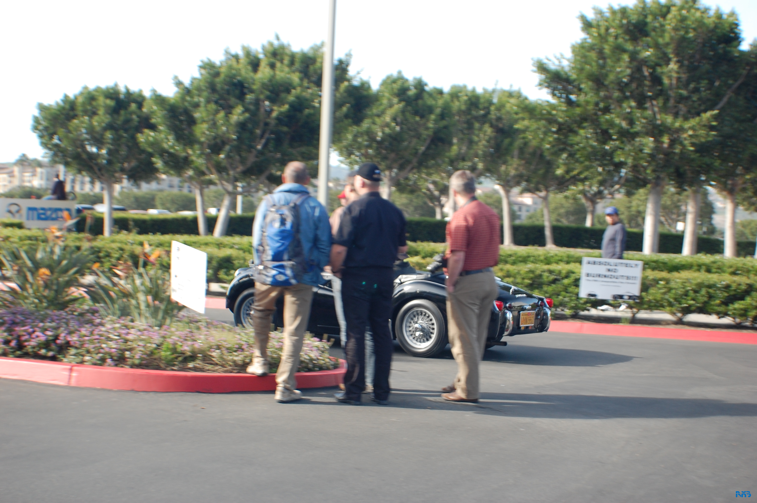 DSC_1213.JPG