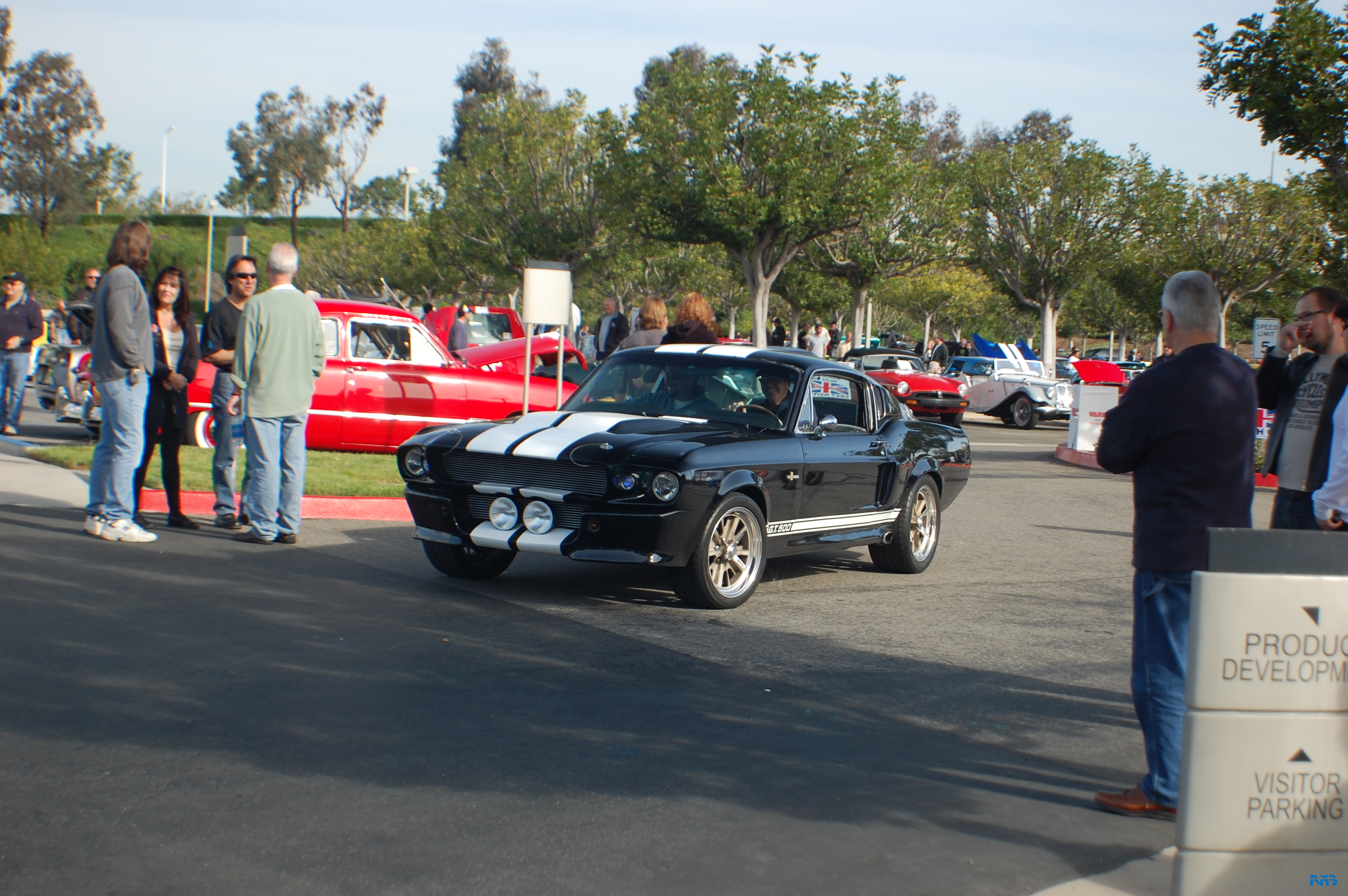 DSC_1218.JPG