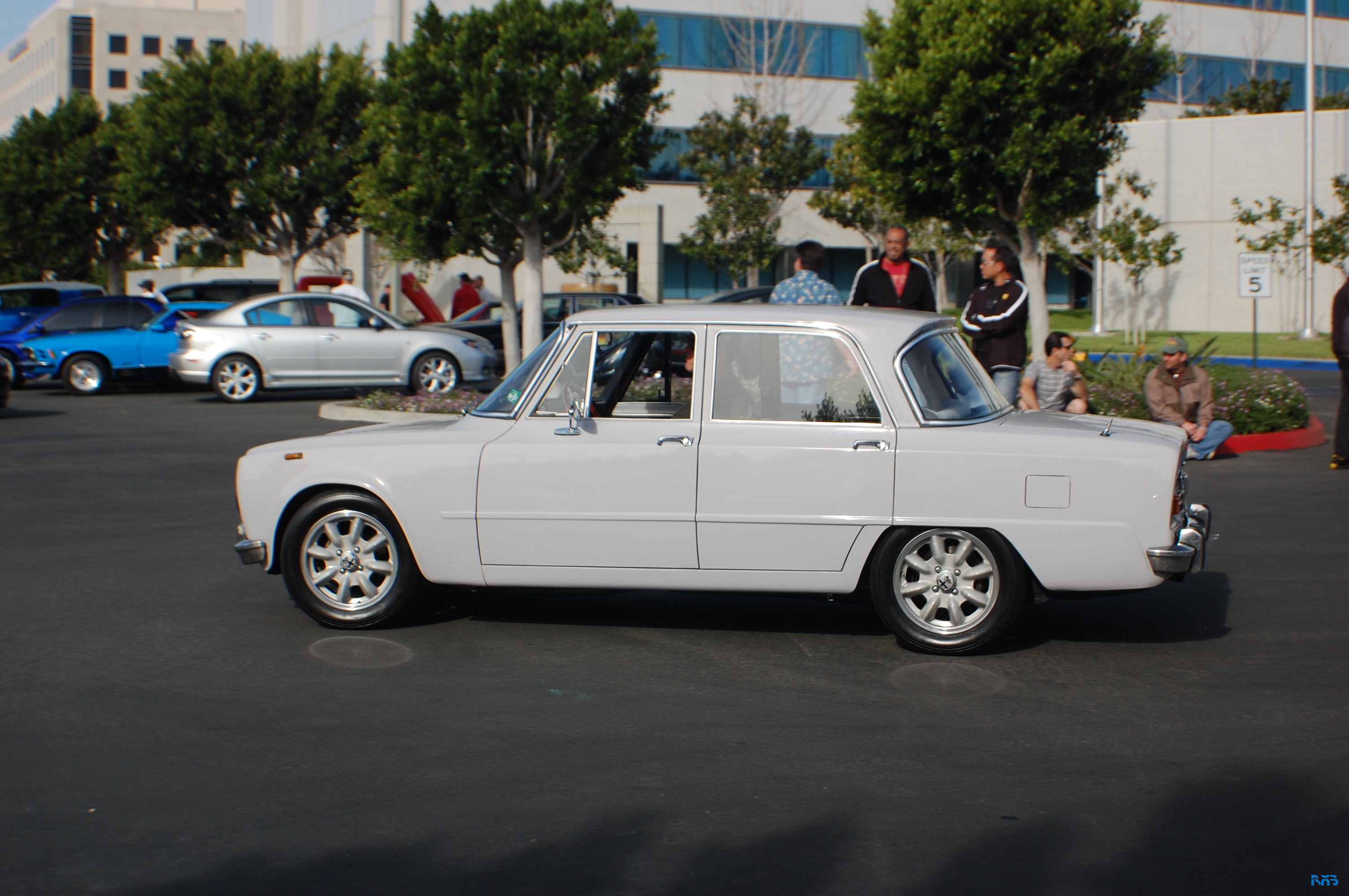 DSC_1229.JPG
